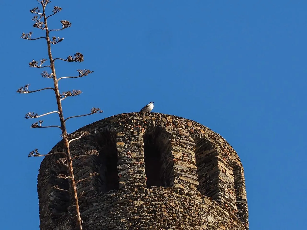 Muin A Ventu Historical Tower Apartment Vernazza