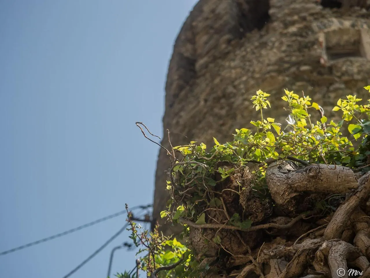 Muin A Ventu Historical Tower Apartment Vernazza